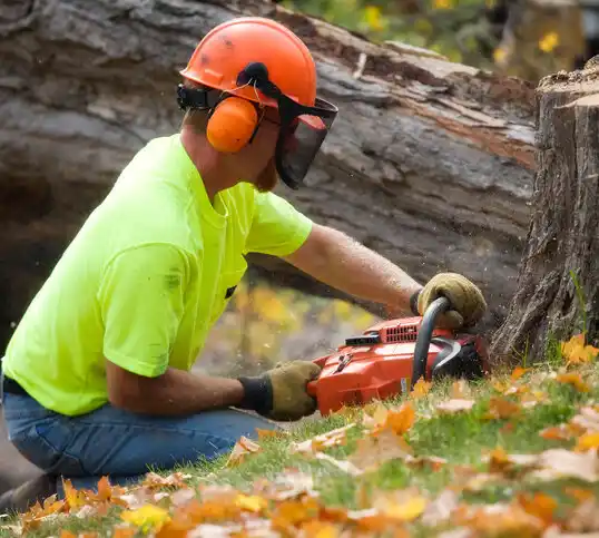 tree services Rutherford College